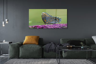 Quadro acrilico Farfalla colorata sui fiori