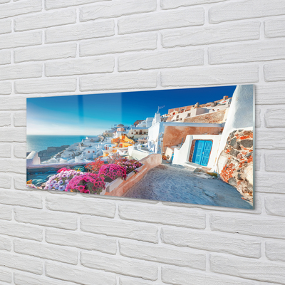 Quadro acrilico Edifici della Grecia Fiori di mare