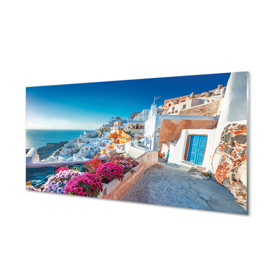 Quadro acrilico Edifici della Grecia Fiori di mare