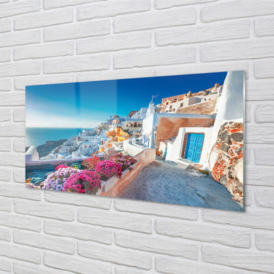 Quadro acrilico Edifici della Grecia Fiori di mare