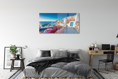 Quadro acrilico Edifici della Grecia Fiori di mare