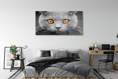 Quadro in vetro acrilico Grey British Cat