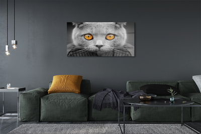 Quadro in vetro acrilico Grey British Cat