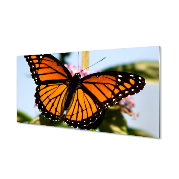 Quadro acrilico Farfalla colorata