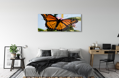 Quadro acrilico Farfalla colorata