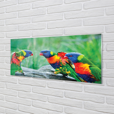 Quadro acrilico Albero di pappagalli colorati
