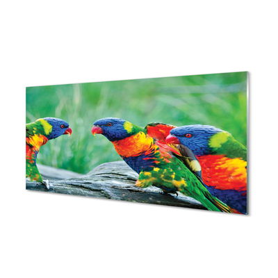 Quadro acrilico Albero di pappagalli colorati