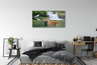 Quadro in vetro acrilico Tigre a cascata