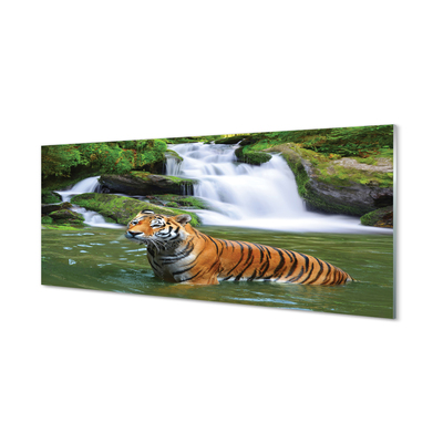 Quadro in vetro acrilico Tigre a cascata