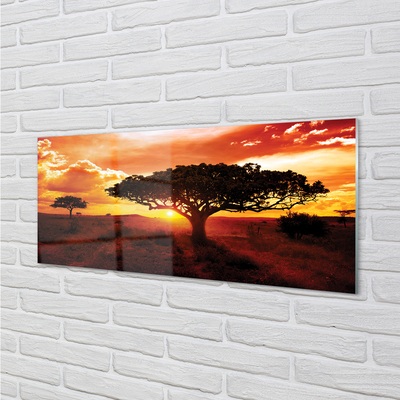 Quadro acrilico Alberi di nuvole ovest