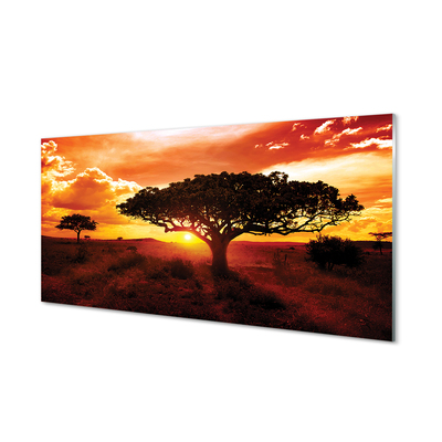 Quadro acrilico Alberi di nuvole ovest