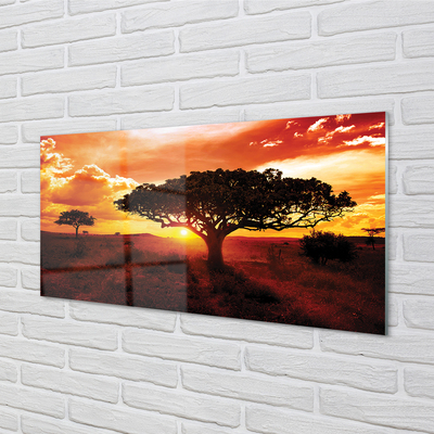 Quadro acrilico Alberi di nuvole ovest