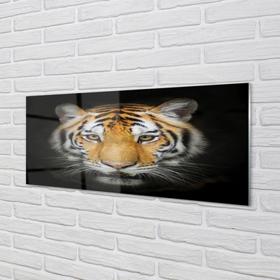 Quadro acrilico Tigre