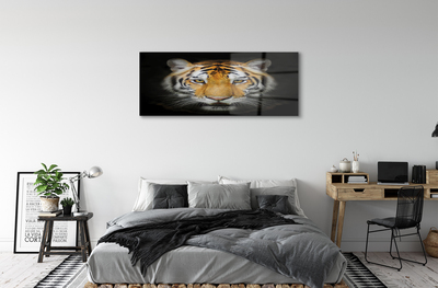 Quadro acrilico Tigre