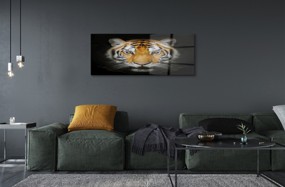 Quadro acrilico Tigre