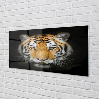 Quadro acrilico Tigre