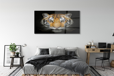 Quadro acrilico Tigre