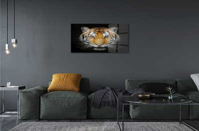 Quadro acrilico Tigre