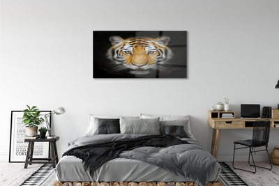 Quadro acrilico Tigre