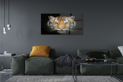 Quadro acrilico Tigre