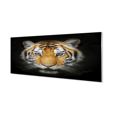 Quadro acrilico Tigre