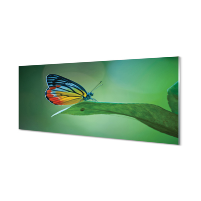 Quadro acrilico Foglia di farfalla colorata