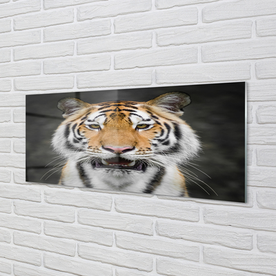 Quadro acrilico Tigre