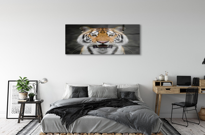 Quadro acrilico Tigre