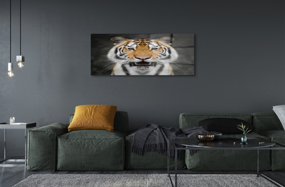 Quadro acrilico Tigre