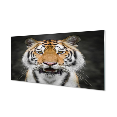 Quadro acrilico Tigre