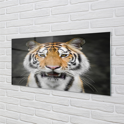 Quadro acrilico Tigre