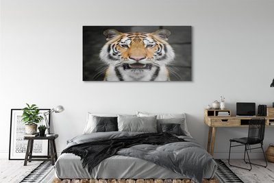 Quadro acrilico Tigre