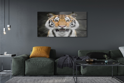 Quadro acrilico Tigre