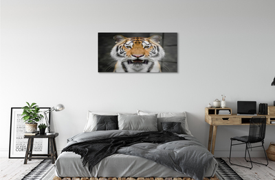 Quadro acrilico Tigre