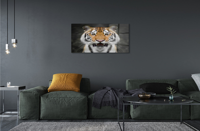 Quadro acrilico Tigre