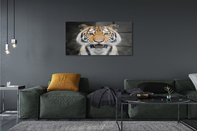 Quadro acrilico Tigre