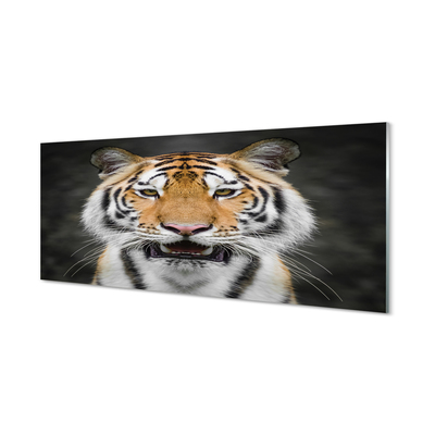 Quadro acrilico Tigre