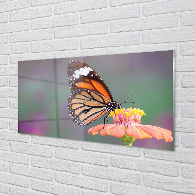 Quadro su vetro acrilico Fiore di farfalla colorato
