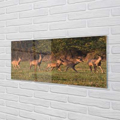 Quadro acrilico Deer Sunrise Field