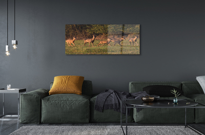 Quadro acrilico Deer Sunrise Field