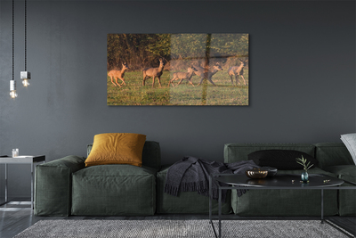 Quadro acrilico Deer Sunrise Field