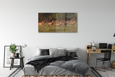 Quadro acrilico Deer Sunrise Field