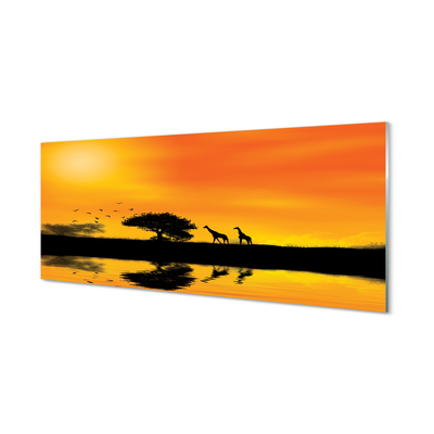 Quadro vetro acrilico Giraffe West Tree Lake