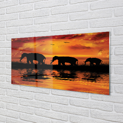 Quadro acrilico Lago di West Elephants