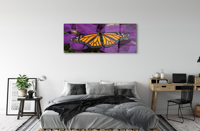 Quadro su vetro acrilico Fiori di farfalla colorati