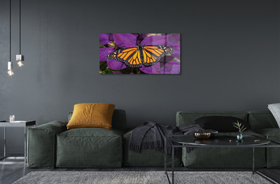 Quadro su vetro acrilico Fiori di farfalla colorati