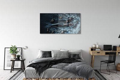 Quadro vetro acrilico Sirena Mare