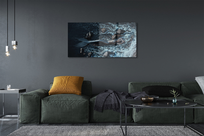 Quadro vetro acrilico Sirena Mare