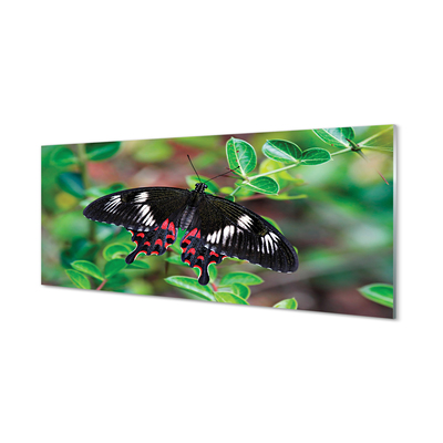 Quadro acrilico Foglie di farfalla colorate
