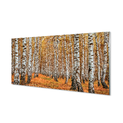 Quadro in vetro acrilico Alberi autunnali